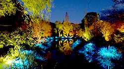 光のフェスタ in モネの庭2016