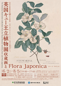 英国キュー王立植物園収蔵画とFlora Japonica
