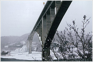 雪の花と大橋画像