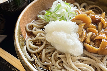 道の駅一向一揆の里 食彩館せせらぎ