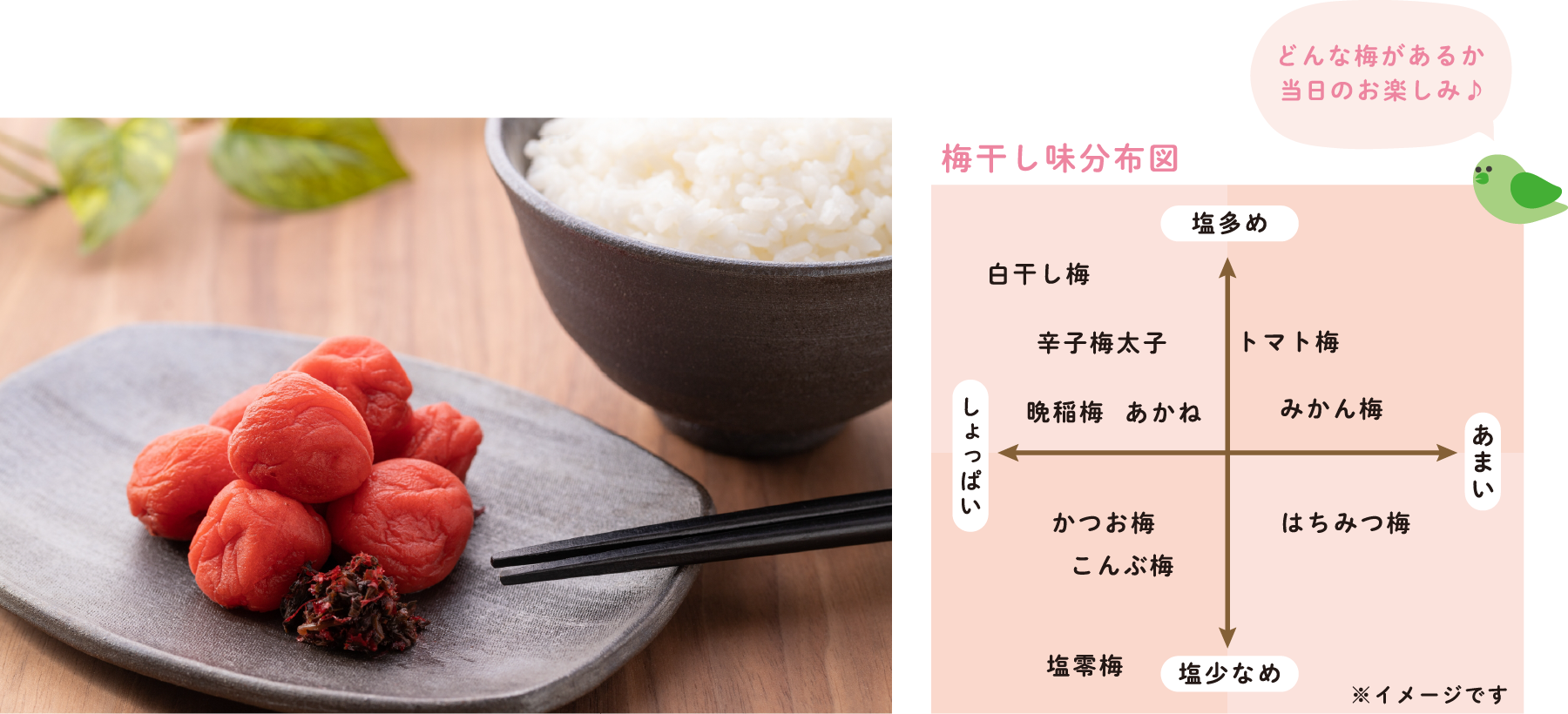 どんな梅があるか当日のお楽しみ♪ 梅干し味分布図