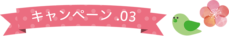 キャンペーン03