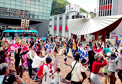 とくしま 春らんまんの祭典 はな・はるフェスタ2015