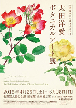 牧野植物図の継承者たち　太田洋愛ボタニカルアート展
