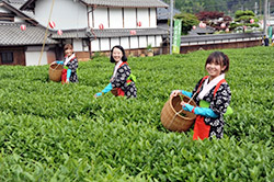 第35回 大国寺と丹波茶まつり