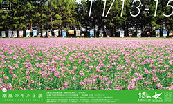 第21回 潮風のキルト展