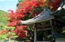 長安寺 もみじまつり