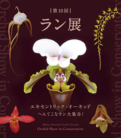 第10回ラン展　エキセントリック・オーキッド へんてこなラン大集合！