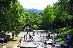 国営讃岐まんのう公園 「サマーフェスタ」