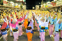 鳴門市阿波おどり  納涼花火大会