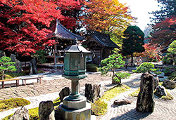 長安寺　もみじまつり