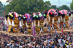 新居浜太鼓祭り