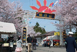 朝日山森林公園 桜まつり