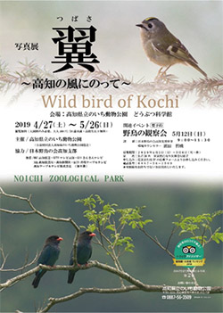 高知県立のいち動物園 写真展「翼～高知の風にのって～」