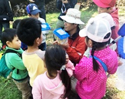 愛媛県総合運動公園 森の学校 みきゃんっ子Ver.2　自然の中で遊ぼう＆虫博士と探検しよう