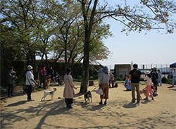 「犬のしつけ方教室」の風景