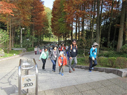 愛媛県総合運動公園 ふれあい健康 ウォーキング