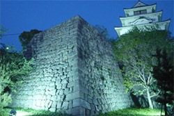 丸亀城石垣ライトアップ