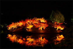 栗林公園 秋のライトアップ
