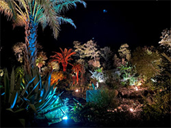 光のフェスタinモネの庭2020
