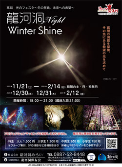 高知 光のフェスタ～冬の祭典、未来への希望～　龍河洞Night -Winter Shine-