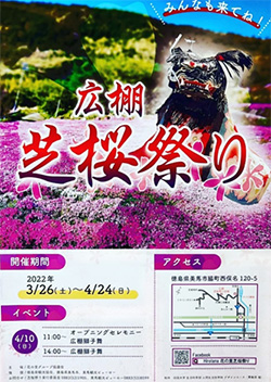 広棚 芝桜祭り