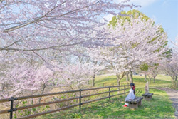 国営讃岐まんのう公園　『春らんまんフェスタ2022』