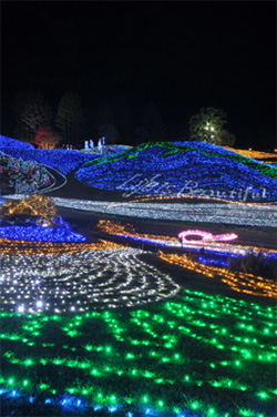国営讃岐まんのう公園　『ウィンターファンタジー』