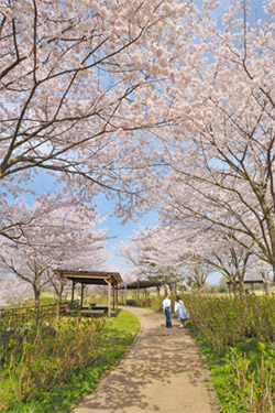 国営讃岐まんのう公園　『春らんまんフェスタ2023』