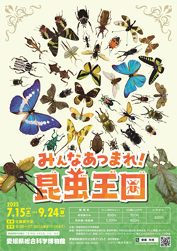 愛媛県総合科学博物館　特別展「みんなあつまれ！昆虫王国」
