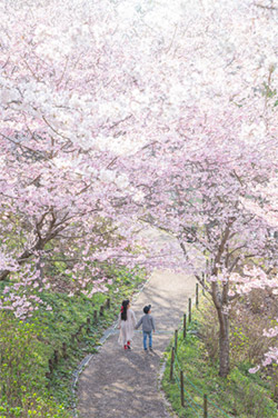 イベント