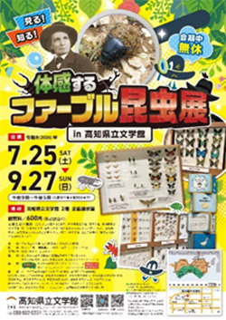 イベント