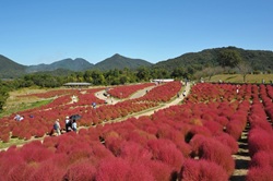 イベント