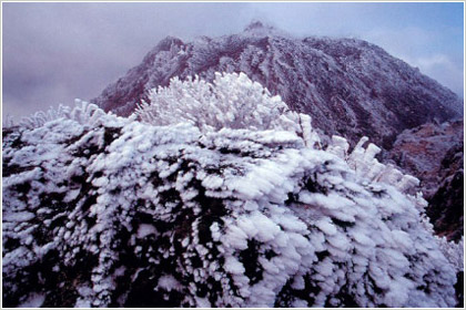 厳冬の山画像