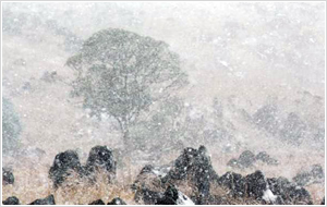 雪凛のカルスト台画像