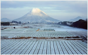 雪の日の讃岐富士画像