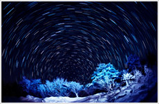 冬の夜空画像