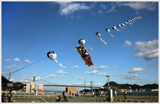 関門大橋とフグ連凧画像