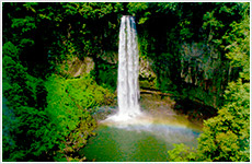 虹の五老ヶ滝画像