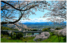 桜の丘からの一望画像