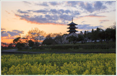 夕焼の備中国分寺画像