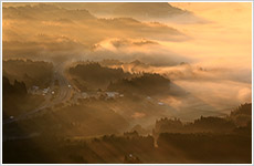 朝霧の九州道画像