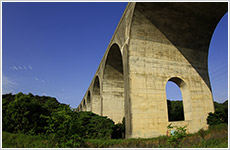 南の島のアーチ橋画像