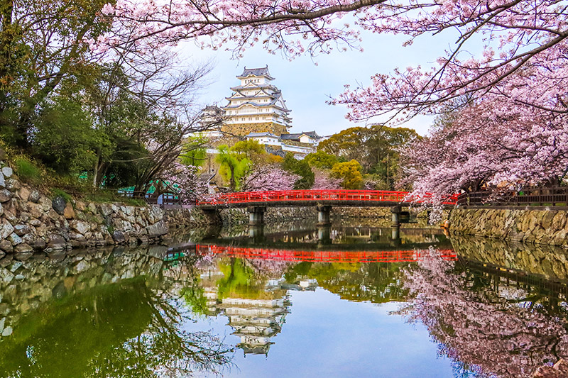 姫路城と春うらら画像