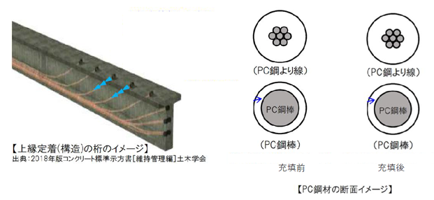 上縁定着構造の桁とPC鋼材の断面イメージ