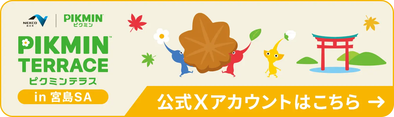 公式Xアカウントはこちら