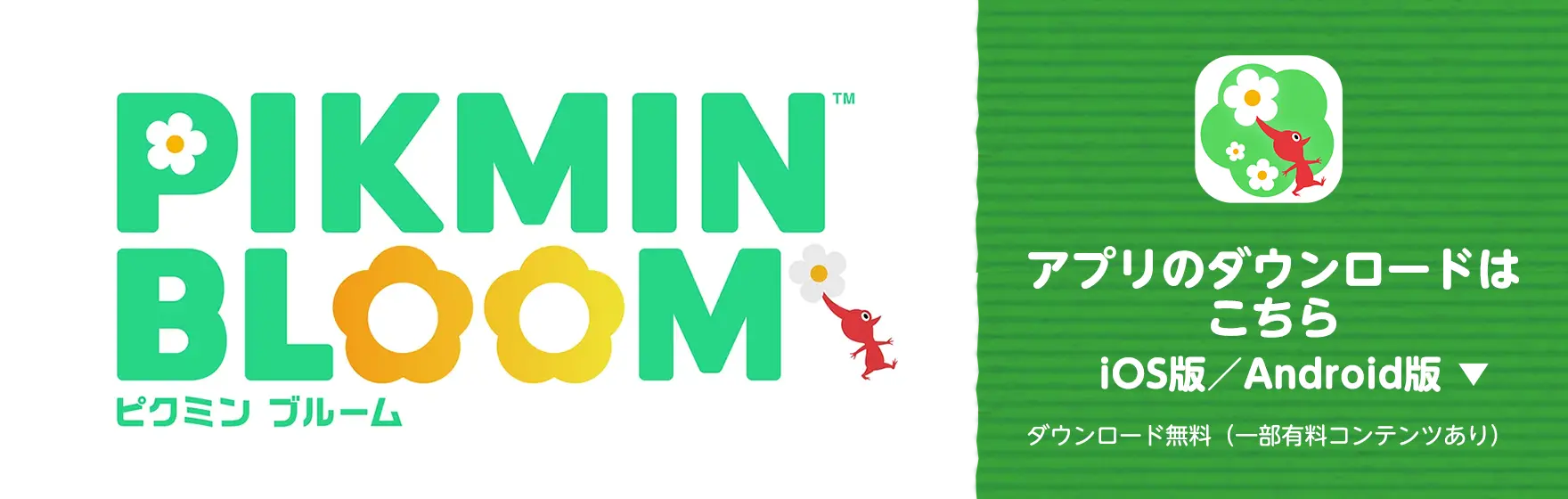 ピクミンブルームアプリのダウンロードはこちら