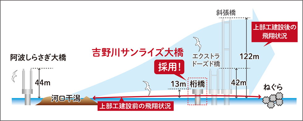 鳥類の飛行ルートを守ります